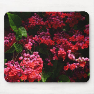 パゴダカラフルの花(赤とピンク) マウスパッド