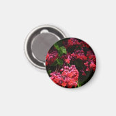 パゴダカラフルの花（赤とピンク） マグネット (正面/裏面)