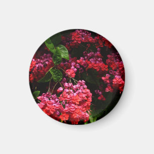 パゴダカラフルの花(赤とピンク) マグネット