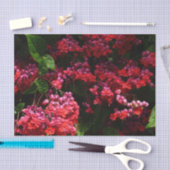 パゴダカラフルの花（赤とピンク） 薄葉紙 (クラフト)