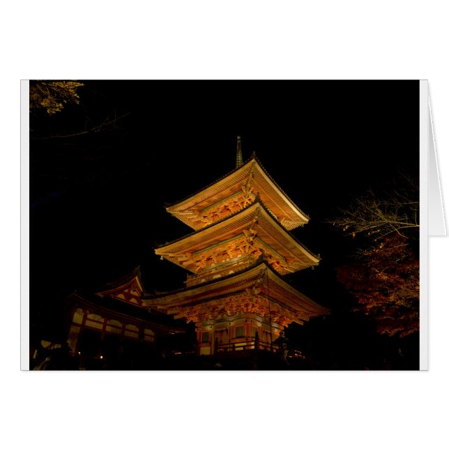 パゴダージャパン京都 (正面横)