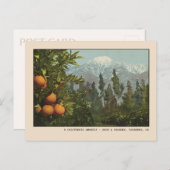 パサデナはがき雪とオレンジグローブ ポストカード (正面/裏面)