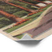 パサデナ, CA – レジデンタル通りシーン&パームズ ポスター (角)