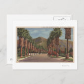 パサデナ， CA – レジデンタル通りシーン&パームズ ポストカード (正面/裏面)