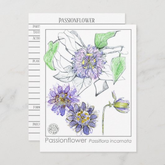パシオンフラワーマテリアメディカハーブ勉強カード ポストカード (正面/裏面)