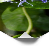 パシオンフルーツブリス：受動的な装飾を備えた壁の装飾 ポスター (コーナー)