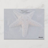 パシフィカカリフォルニアポストカード ポストカード (裏面)