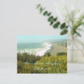 パシフィカ葉書 ポストカード (スタンド正面)