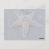 パシフィカ葉書 ポストカード (裏面)