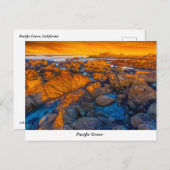 パシフィックグローブポストカード ポストカード (正面/裏面)