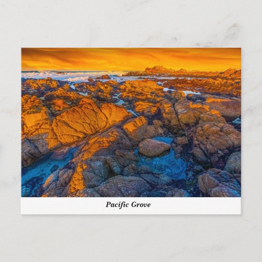 パシフィックグローブポストカード ポストカード (正面)