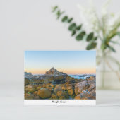 パシフィックグローブポストカード ポストカード (スタンド正面)