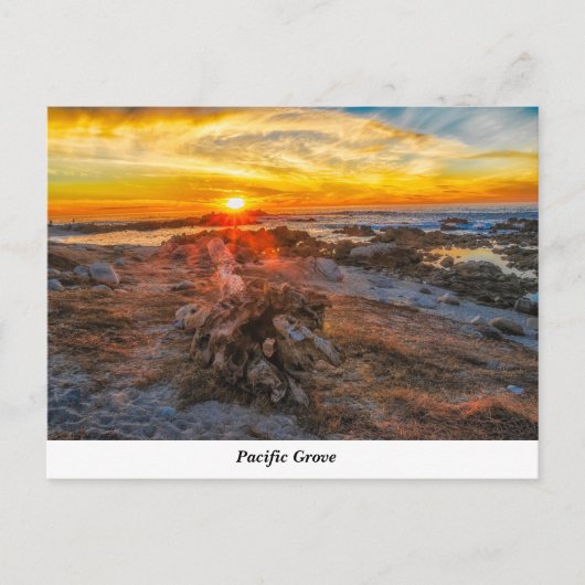 パシフィックグローブポストカード ポストカード (正面)