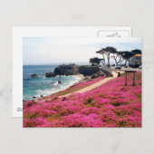 パシフィックグローブモントレーカリフ ポストカード (正面/裏面)