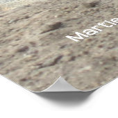 パシフィックグローブリス ポスター (角)