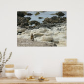 パシフィックグローブリス ポスター (キッチン)