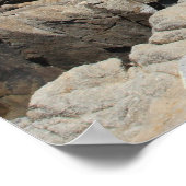 パシフィックグローブ ポスター (角)