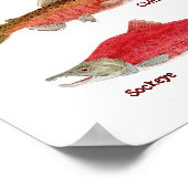 パシフィックサケ種芸術ポスター ポスター (角)