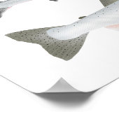 パシフィックサーモン – 海と産卵フェーズ ポスター (角)