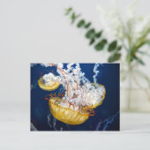 パシフィックシーネトル(クリサオラフセセンツ) ポストカード (スタンド正面)