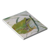 パシフィックツリーカエルの花が庭に。 ノートパッド (アングル)