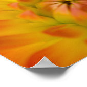 パシフィックツリーカエルの花が庭に。 ポスター (角)