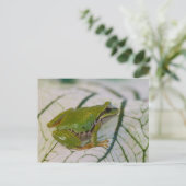 パシフィックツリーカエルの花が庭に。 ポストカード (スタンド正面)