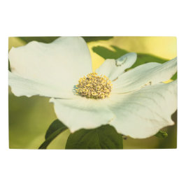 パシフィックドグウッド メタルプリント