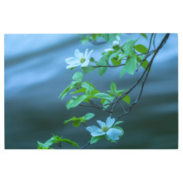 パシフィックドグウッド メタルプリント