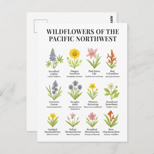 パシフィックノースウエストワイルドフラワーズ – 水彩スタイル ポストカード (正面/裏面)