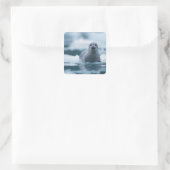 パシフィックハーバーシール(Phocca vitulina richardis) スクエアシール (バッグ)