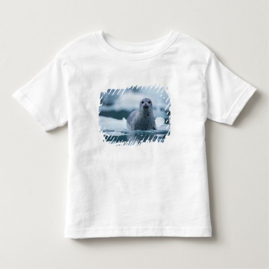 パシフィックハーバーシール(Phocca vitulina richardis) トドラーTシャツ (正面)