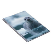 パシフィックハーバーシール(Phocca vitulina richardis) ノートブック (右側)