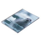 パシフィックハーバーシール(Phocca vitulina richardis) ノートブック (左側)