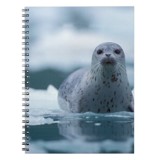 パシフィックハーバーシール(Phocca vitulina richardis) ノートブック (正面)