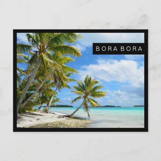 パシフィックパームビーチ縁ど黒葉書 ポストカード (正面)