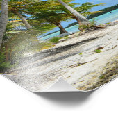 パシフィックパームビーチ フォトプリント            (角)