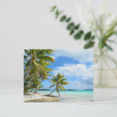 パシフィックパームビーチ ポストカード (スタンド正面)