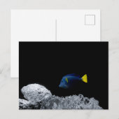 パシフィックブルータン ポストカード (正面/裏面)