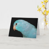 パシフィックブルーパーロットバードグリーティングカードの写真 カード (黄色い花)