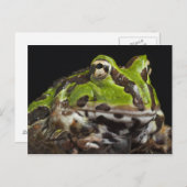 パシフィックホルンカエルCeratophrys stolzmanni) ポストカード (正面/裏面)