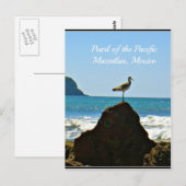 パシフィックマサトラン・メキシコ・バードの真珠 ポストカード (正面/裏面)