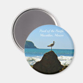 パシフィックマサトラン・メキシコ・バードの真珠 マグネット (正面/裏面)