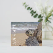 パシフィック海ビーチシータートルハワイ ポストカード (スタンド正面)