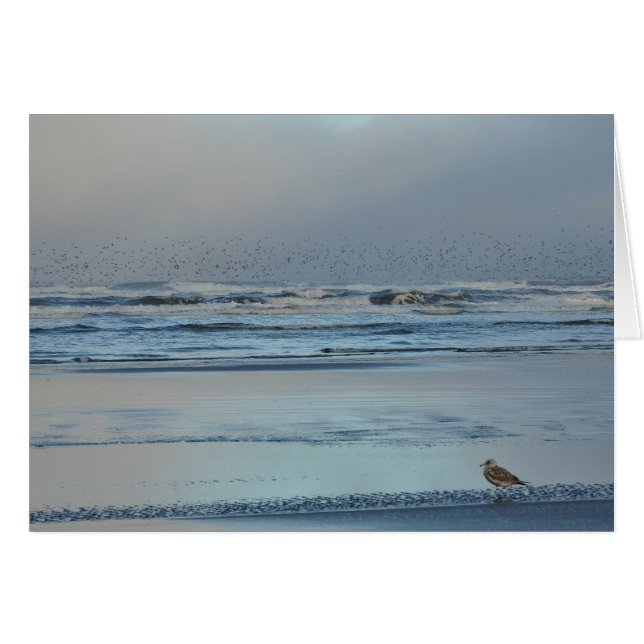 パシフィック海モーニングブルース (正面横)