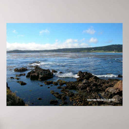 パシフィック・グローブ・オン・ザ・ロック ポスター (正面)