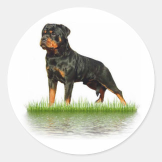 パシャアールアントニウス ラウンドシール