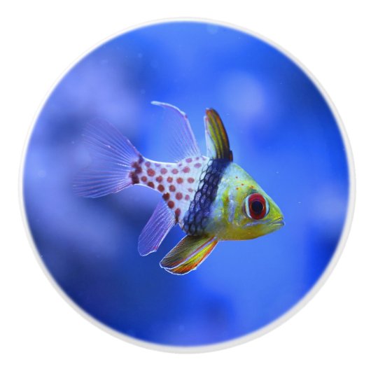 パジャマのCardinalfishの陶磁器のノブ セラミックノブ (正面)