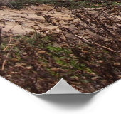 パスからの検索(Del Mar) ポスター (角)