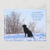 パスがエマーソン引用文をリードする可能性がある場所に移動しない ポストカード (正面)